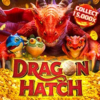 poppg dragon hatch